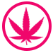Licencias de cannabis