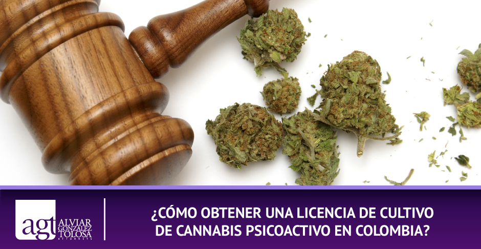 Mazo Legal con Muones de Cannabis