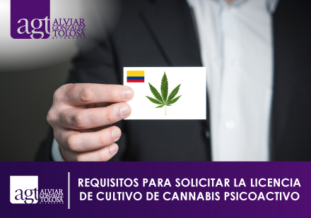 Mazo Legal con Cogollos de Cannabis