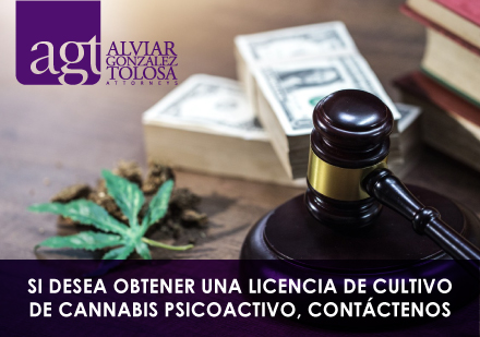 Mazo Legal y Cannabis