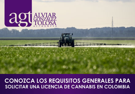 Camin en Tierras de Cultivo de Cannabis en Colombia