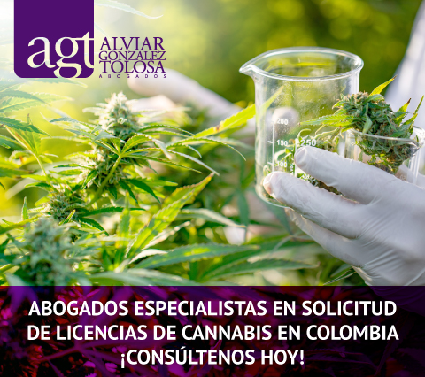 Abogados Especialistas en Solicitud de Licencias de Cannabis en Colombia Consltenos Hoy