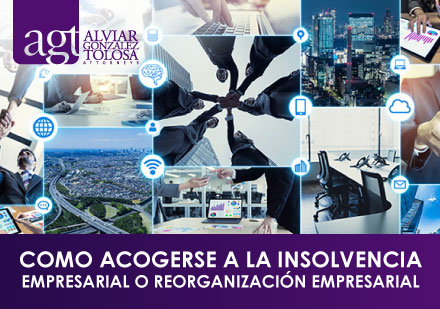 Proceso de Reorganizacin Empresarial