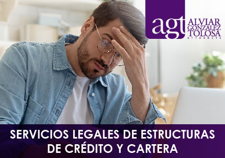 Servicios de Estructuras de Crédito y Cartera Hombre Preocupado con Mano en la Cabeza