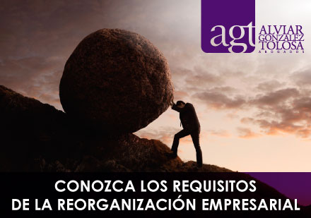 Requisitos de la Reorganizacin Empresarial