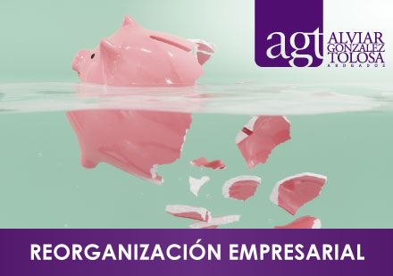 Reorganizacin Empresarial