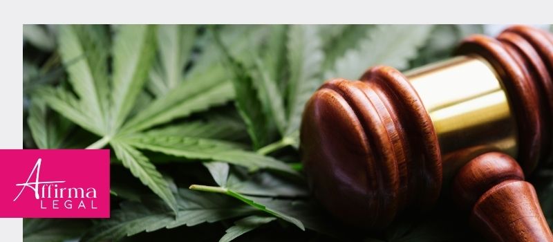 Abogados de Licencias de Cannabis en Colombia