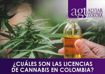 Cules son las Licencias de Cannabis en Colombia?