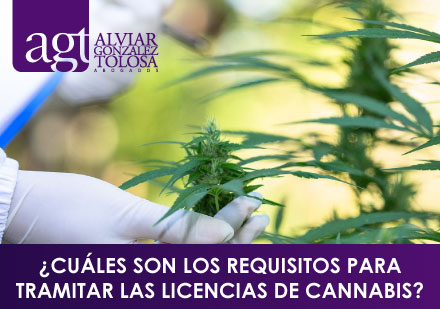 Cules son los Requisitos Para Tramitar las Licencias de Cannabis?