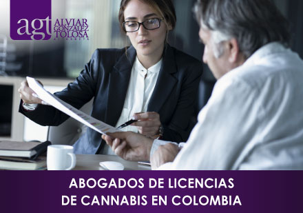 Abogados canbicos en Colombia