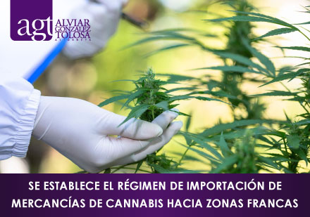 INspeccin Cientfica de Planta de Cannabis