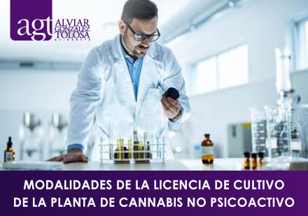 Hombre en Laboratorio Analizando el Cannabis