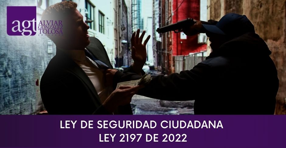 Ley de seguridad ciudadana - Ley 2197 de 2022