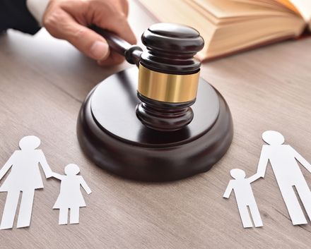 Delito de ejercicio arbitrario de la custodia